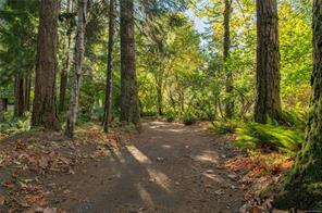 2691 Campbell River Rd — listing photo 63 of 65
