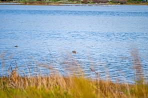104-2970 Cliffe Ave — listing photo 44 of 82