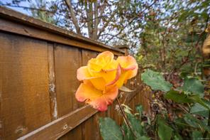 2644 Kendal Ave — listing photo 83 of 98