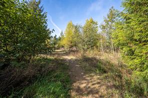 2644 Kendal Ave — listing photo 86 of 98