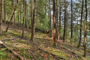706 Horton Bay Rd — listing photo 23 of 44