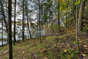 706 Horton Bay Rd — listing photo 35 of 44
