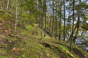 706 Horton Bay Rd — listing photo 36 of 44