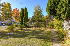 510 Walter Ave — listing photo 26 of 35