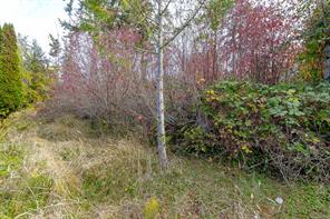87 Bridgewater Lane — listing photo 56 of 58