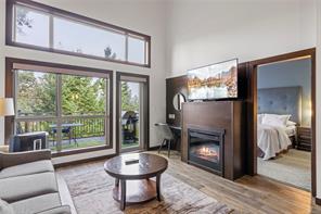 242-1175 Resort Dr — listing photo 15 of 56