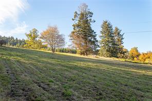 8258 Trans Canada Hwy — listing photo 61 of 68
