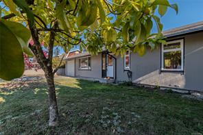440 Allwood Rd — listing photo 39 of 46