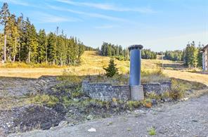 107-1290 Alpine Rd — listing photo 56 of 60