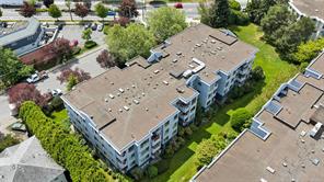 409-520 Dunedin St — listing photo 36 of 41
