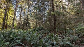 East Sooke Rd — listing photo 13 of 23