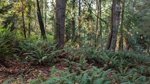 East Sooke Rd — listing photo 15 of 23