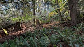 East Sooke Rd — listing photo 16 of 23