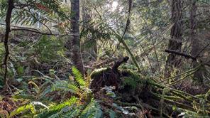 East Sooke Rd — listing photo 18 of 23
