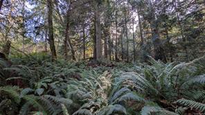 East Sooke Rd — listing photo 19 of 23