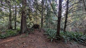 East Sooke Rd — listing photo 20 of 23