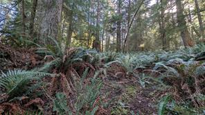 East Sooke Rd — listing photo 21 of 23