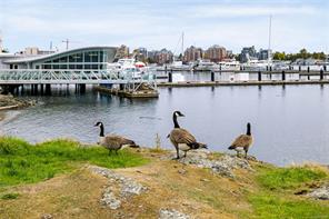 526-205 Kimta Rd — listing photo 34 of 48