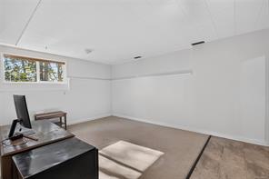 6381 Somenos Rd — listing photo 36 of 48