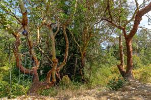3330 Ravenwood Rd — listing photo 45 of 47