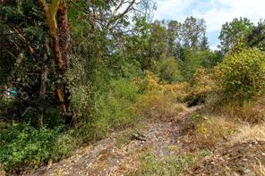 3330 Ravenwood Rd — listing photo 46 of 47