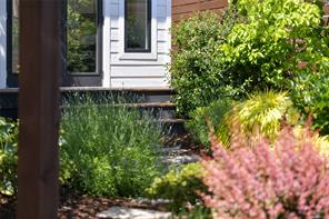 3877 Cedar Hill Cross Rd — listing photo 66 of 89