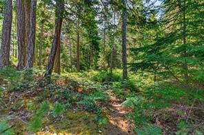 657 Sierra Pines Rd — listing photo 62 of 77
