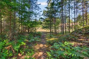 657 Sierra Pines Rd — listing photo 63 of 77