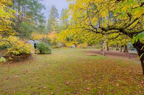 1835 Richardson Rd — listing photo 58 of 67