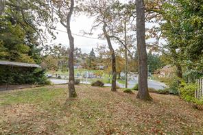1118 Tolmie Ave — listing photo 33 of 36