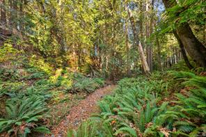 5861 Garvin Rd — listing photo 38 of 40