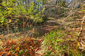 5861 Garvin Rd — listing photo 39 of 40