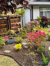 5161 Dunn Pl — listing photo 51 of 68