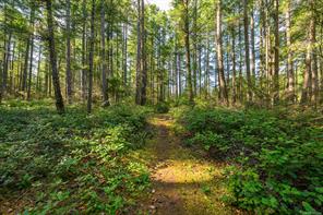 10225 Greenhill Rd — listing photo 77 of 96
