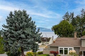 601 Belle View Pl — listing photo 51 of 53