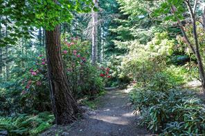 1717 Glen Urquhart Dr — listing photo 44 of 53