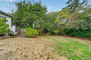 3219 RUTLEDGE St — listing photo 27 of 34