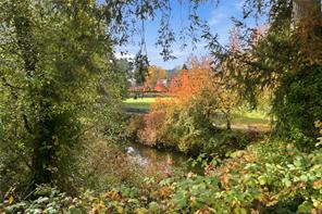 Property Photo 55