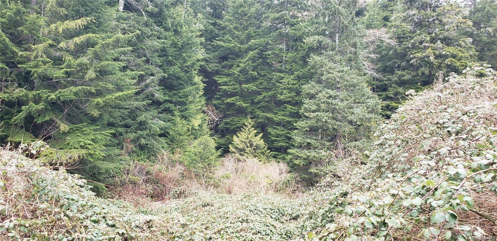 Lot 17 Haggard Cove, (PA Alberni Inlet) Port Alberni British Columbia, V0R 2B0 $57,700