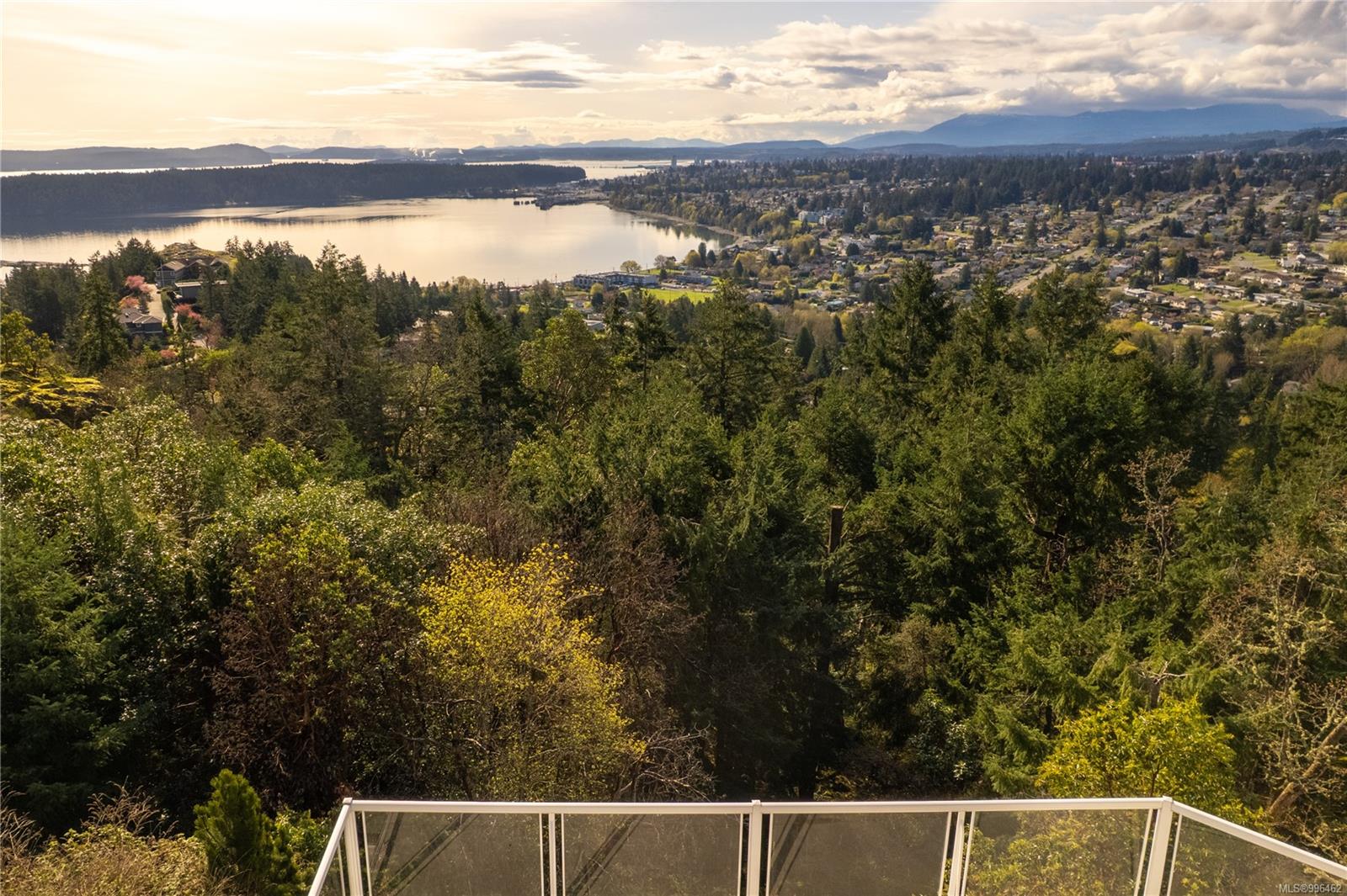 Real Estate