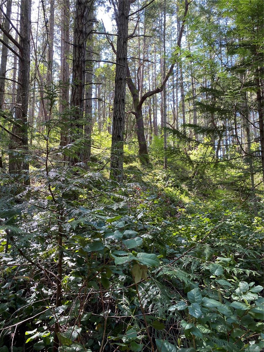 $134,000 - Lot 36 Ruxton Island<br>British Columbia, V0V 0V0
