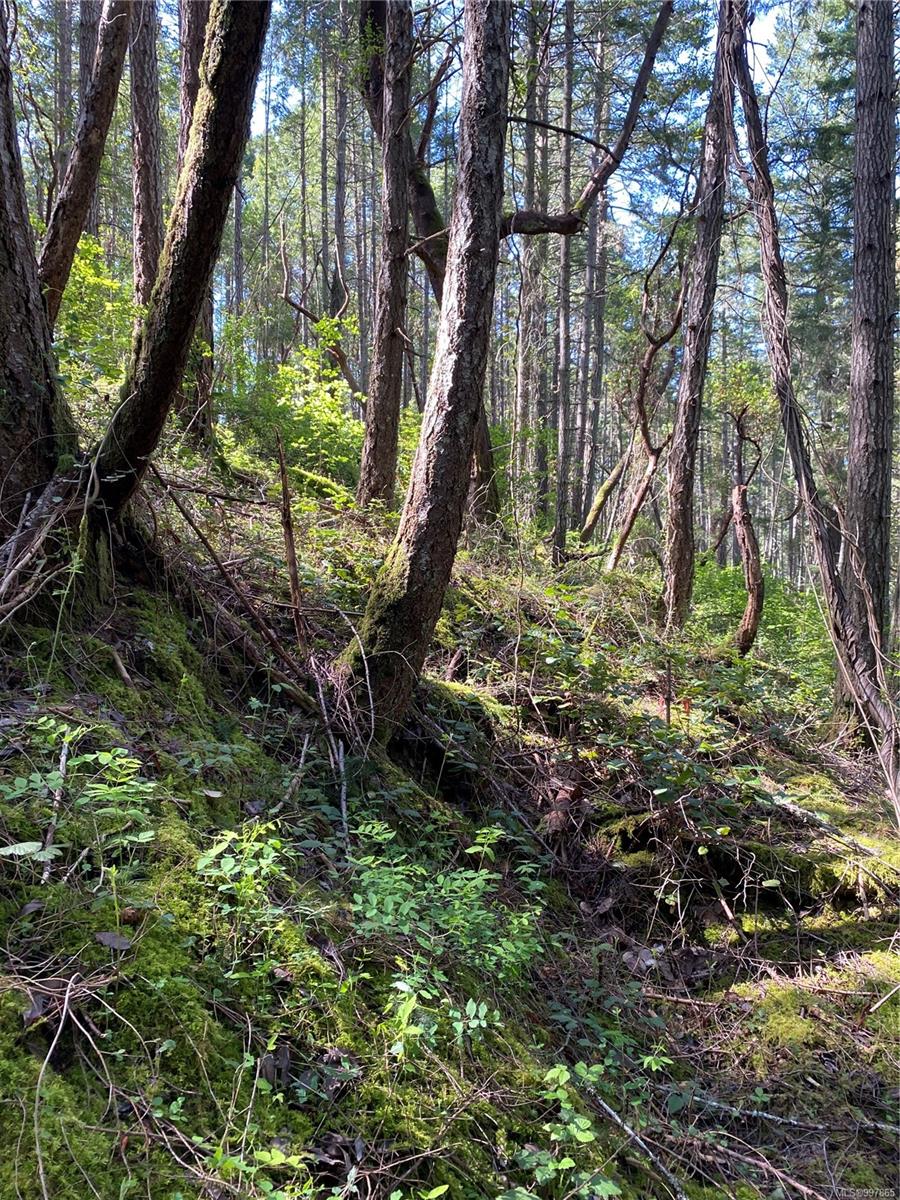 $134,000 - Lot 36 Ruxton Island<br>British Columbia, V0V 0V0