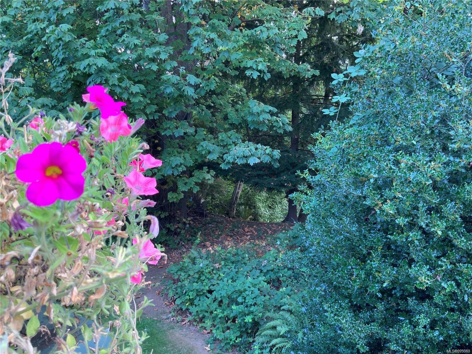 $519,000 - 391 Erickson Rd<br>British Columbia, V9W 1S8