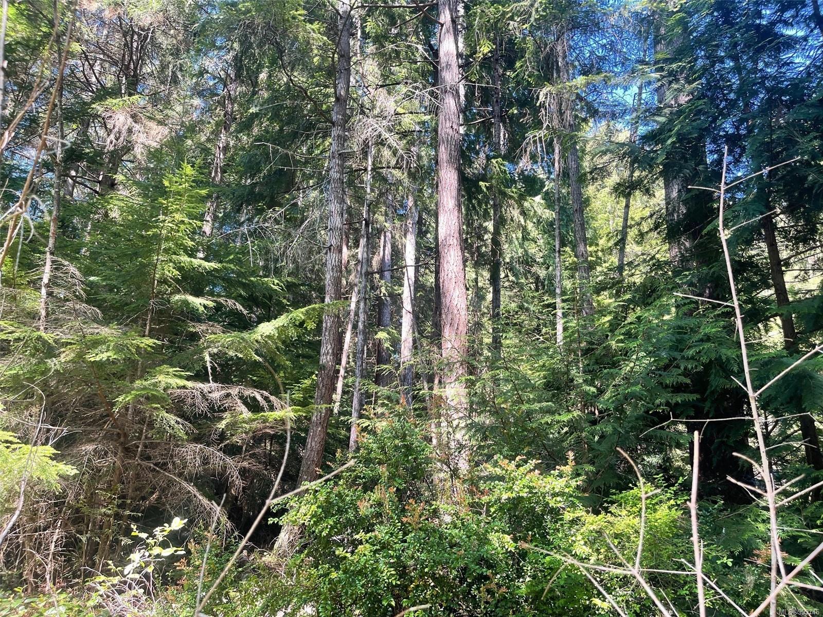 $159,900 - LOT 2 Spruce Ave<br>British Columbia, V0R 1X1