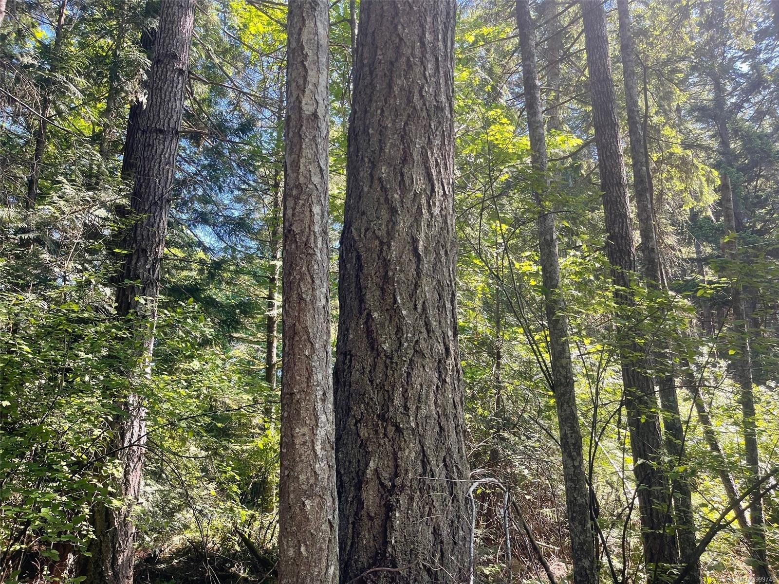 $159,900 - LOT 2 Spruce Ave<br>British Columbia, V0R 1X1