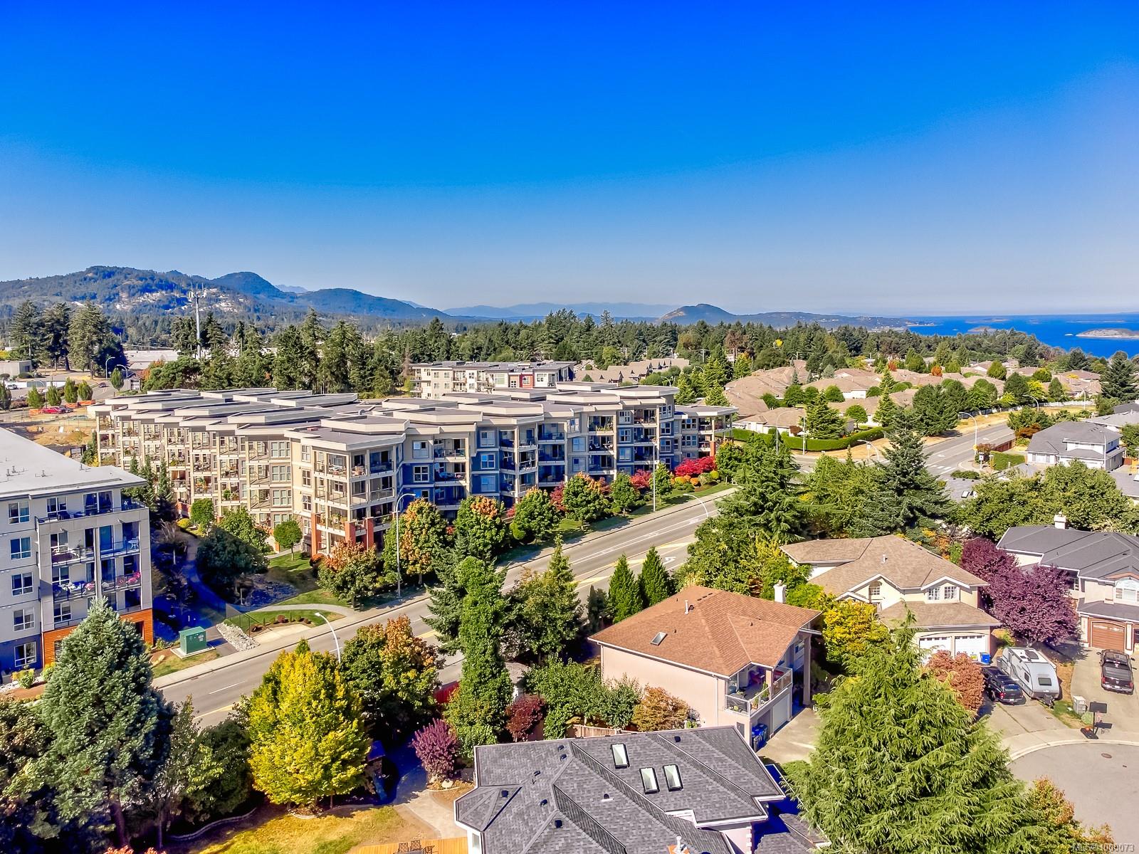 Real Estate