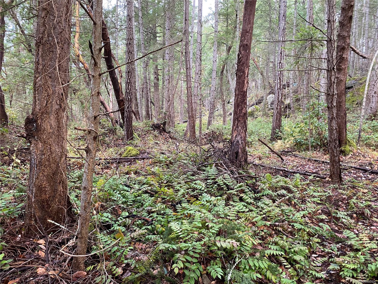 Lot 18 Ruxton , Na Extension real estate property for sale in Nanaimo British Columbia, V0R 1X7