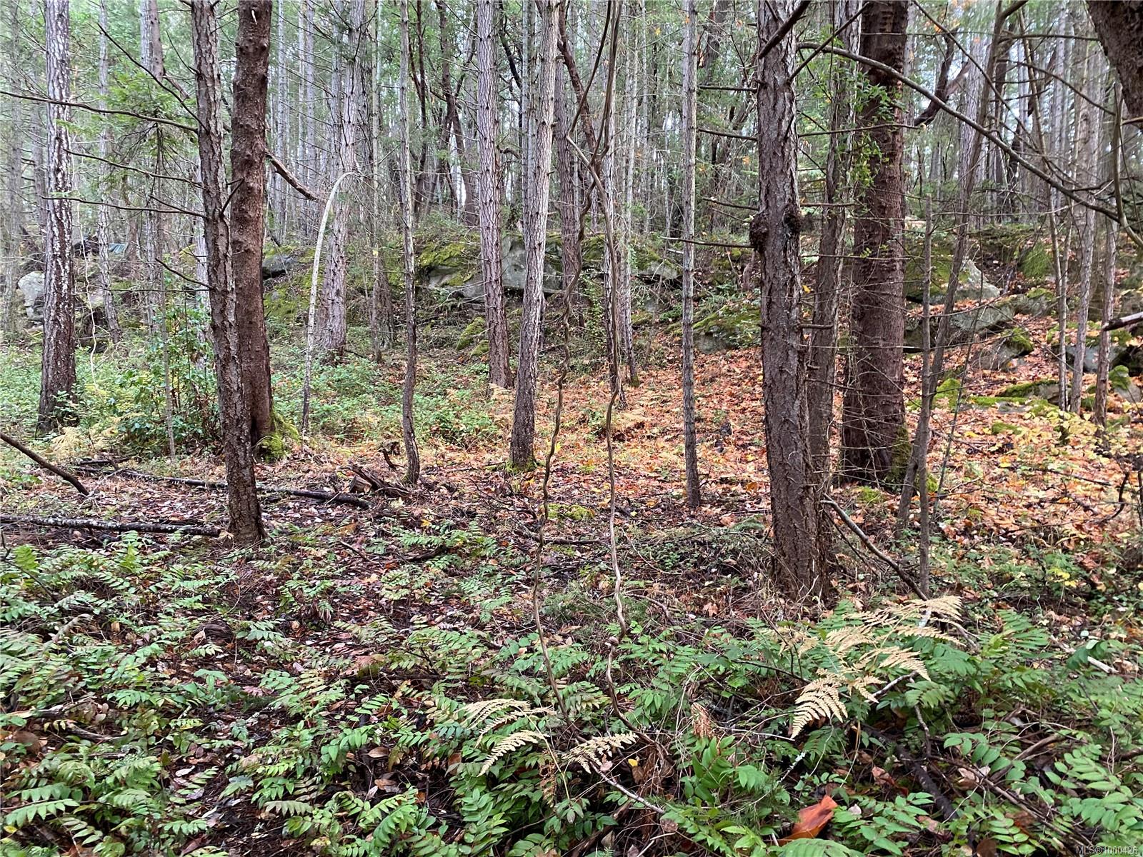 $140,000 - Lot 18 Ruxton <br>British Columbia, V0R 1X7