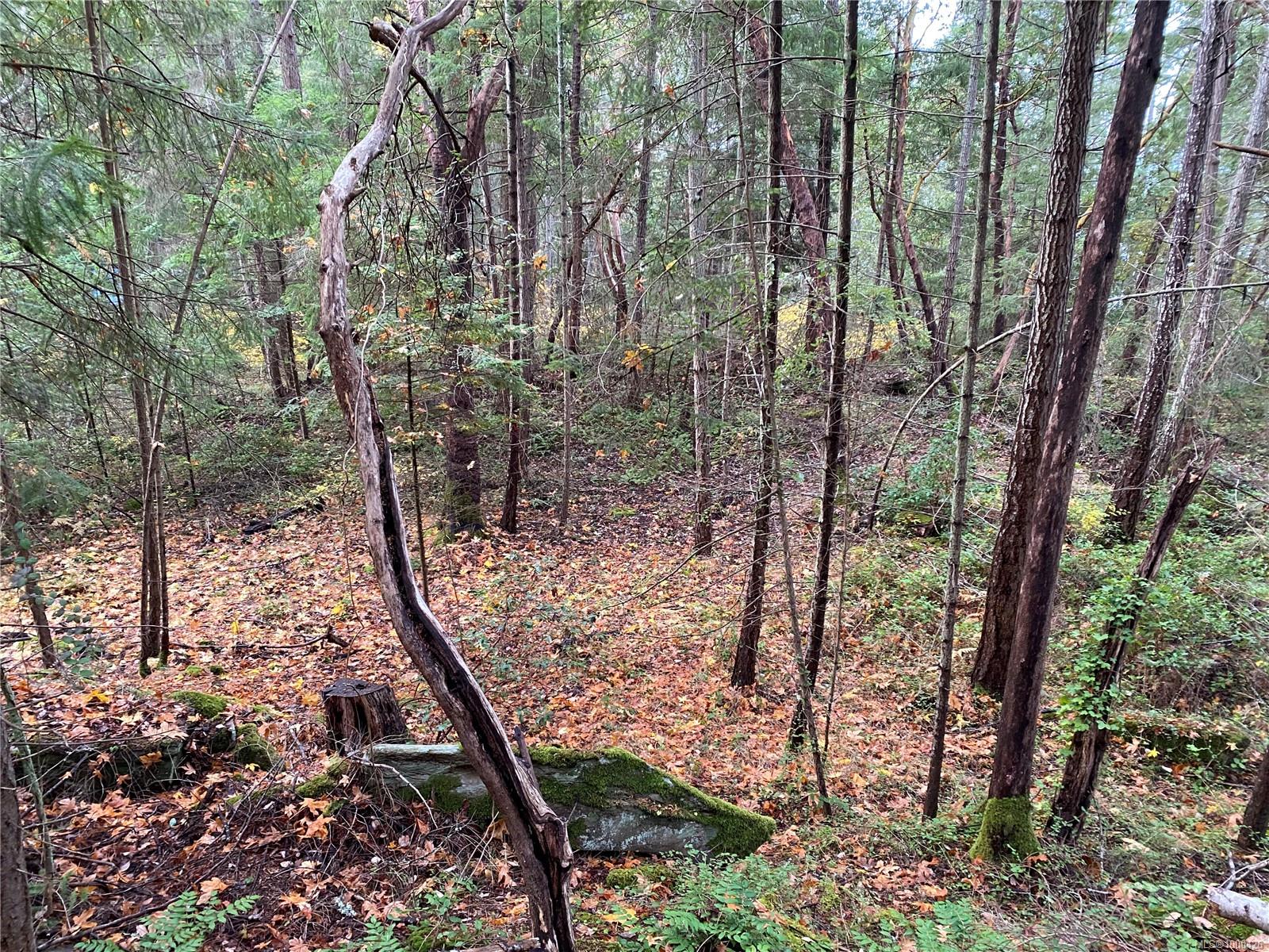 $140,000 - Lot 18 Ruxton <br>British Columbia, V0R 1X7