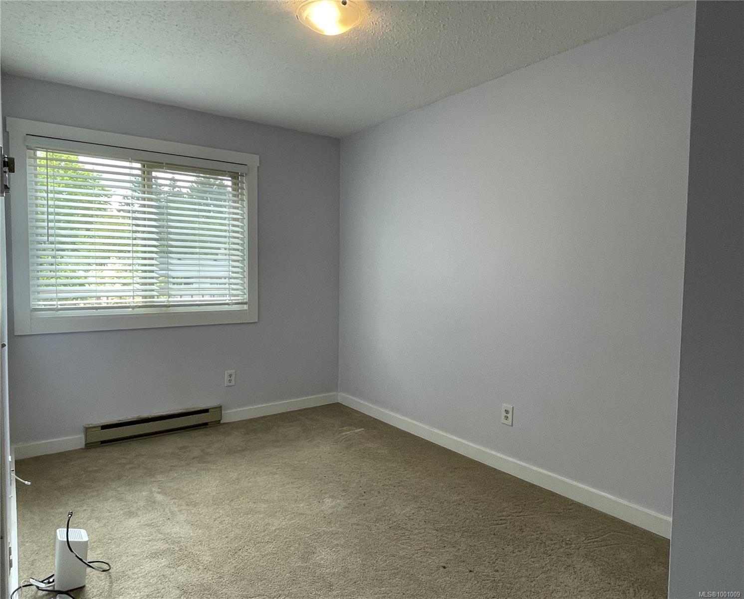 Real Estate